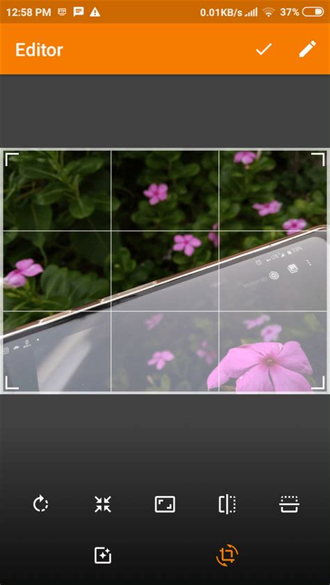 13 Best Simple Gallery App Tips to Use Like a Pro - Moyens I/O