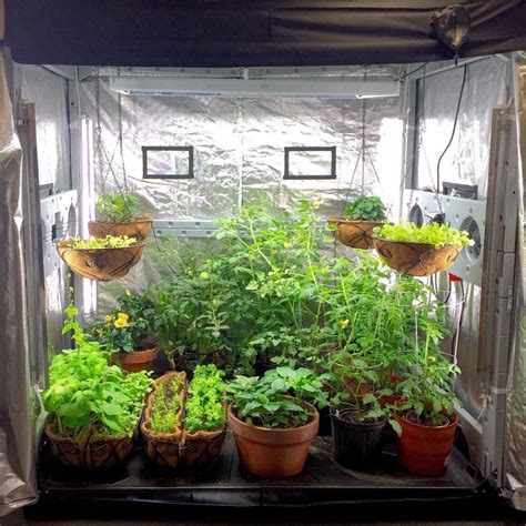 How to Find the Best Grow Tent for Plants | Indoor vegetable gardening ...