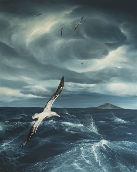 Albatross Painting at PaintingValley.com | Explore collection of Albatross Painting