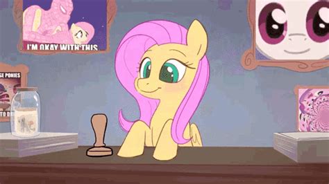 Mlp Fluttershy GIF - Mlp Fluttershy Meme - Discover & Share GIFs