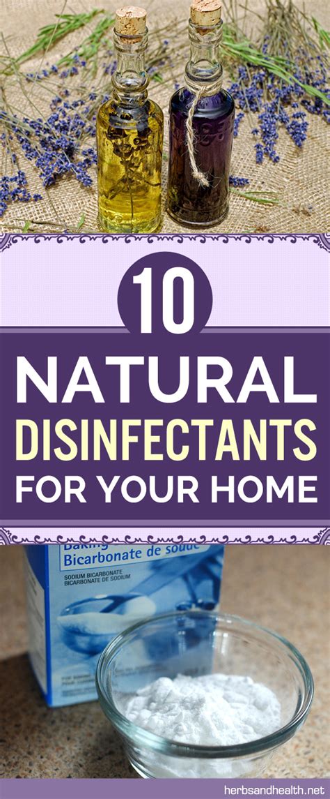 10 Natural Disinfectants For Your Home - Herbs Health & Happiness