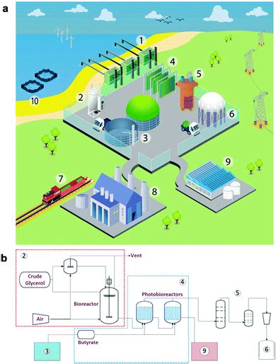 Low carbon strategies for sustainable bio-alkane gas production and renewable energy - Energy ...