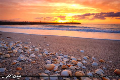 Jupiter Beach Park Inlet Jupiter Florida | Royal Stock Photo