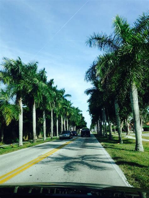 Immokalee, Florida, road to my home | Picture, Florida, Places