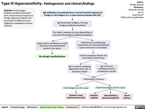 Type III Hypersensitivity: Pathogenesis and clinical findings | Calgary Guide