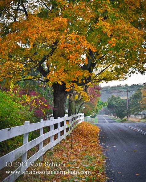 Fall Foliage in Bucks County | Words and Photographs