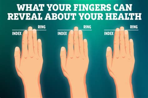 What the LENGTH of your fingers reveals about your health - and when to worry | The US Sun