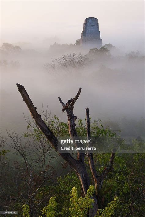 Sunrise In Tikal High-Res Stock Photo - Getty Images