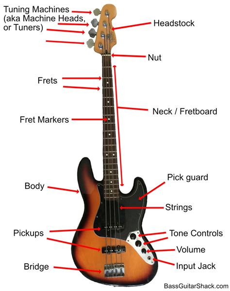 Bass Guitar Anatomy: Parts of a Bass Guitar - Bass Guitar Shack