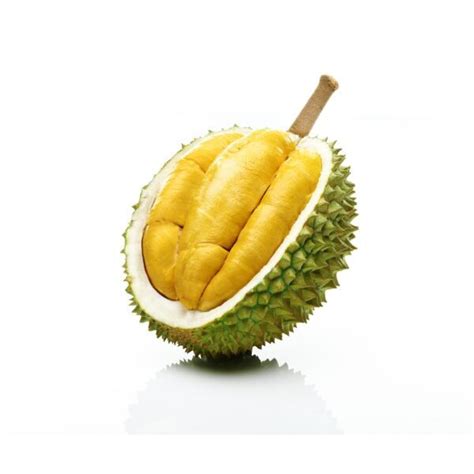 Isi Durian Musang King Super A Premium Frozen Box - Dusun ExoThick