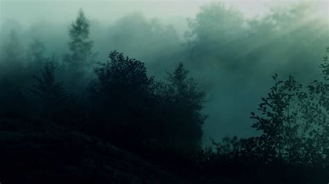 Forest During Nighttime HD Dark Aesthetic Wallpapers | HD Wallpapers ...