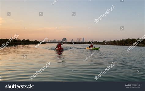 Abu Dhabi Mangroves: Over 782 Royalty-Free Licensable Stock Photos ...