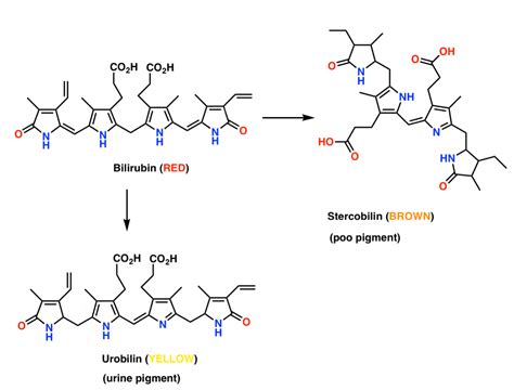 Organic Chemistry Is Shit — Master Organic Chemistry