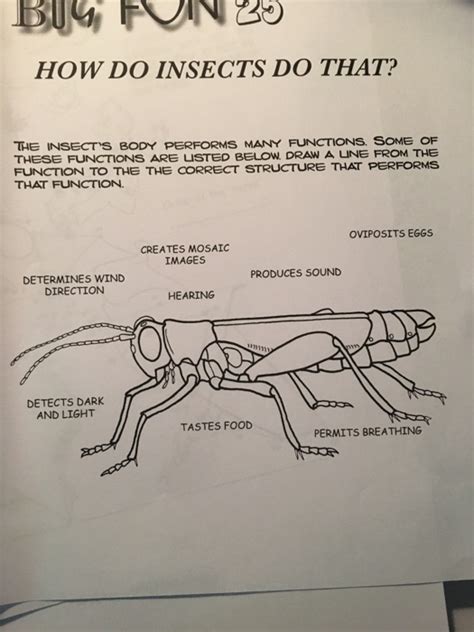 Solved HOW DO INSECTS DO THAT? THE INSECT'S BODY PERFORMS | Chegg.com