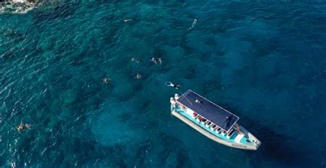 Kailua-Kona: Big Island Morning Snorkeling Tour with Lunch | GetYourGuide