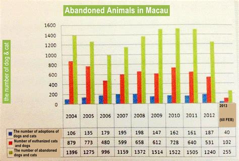 Macau's dog problem