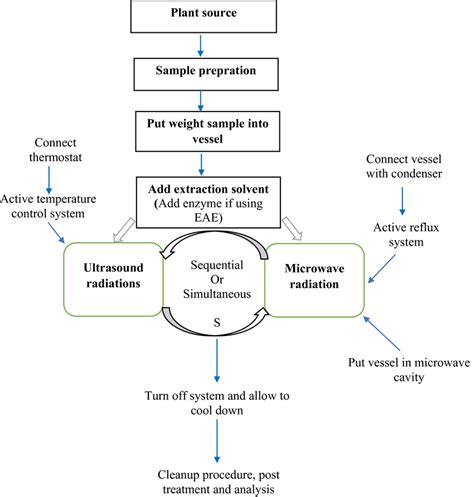 The methodology of the individual ultrasound‐assisted extraction (UAE ...