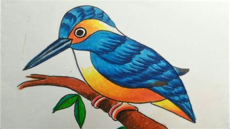 Kingfisher Bird Drawing