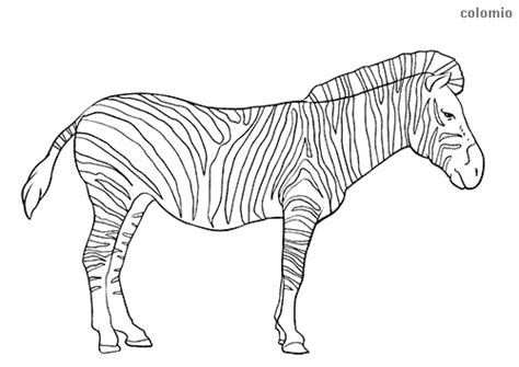 Zoo Animals coloring pages » Free & Printable » Zoo coloring sheets