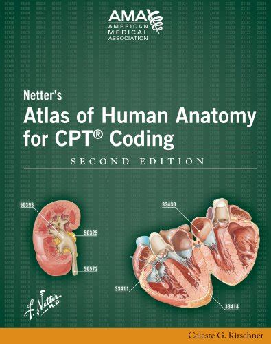 Netter's Atlas of Human Anatomy for CPT Coding, Second Edition by American Medical Association ...