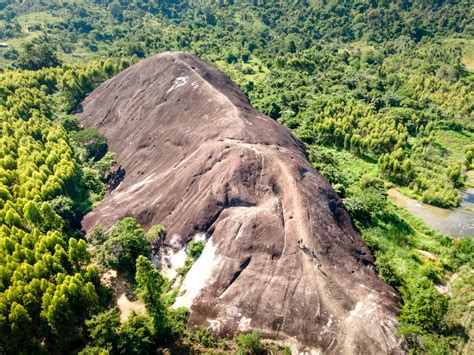 Brown Rock Formation Formed as Elephant Surrounded by Green Trees ...