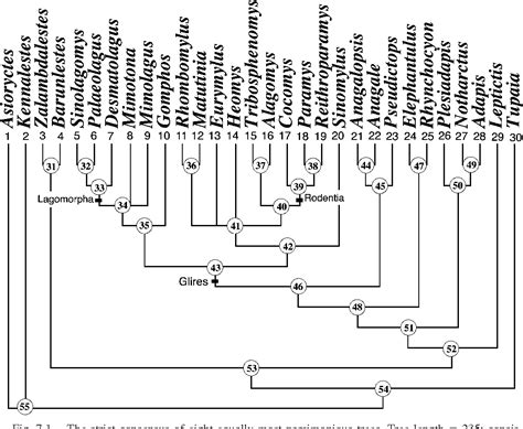 Figure 7.1 from Phylogeny and Divergence of Basal Glires | Semantic Scholar