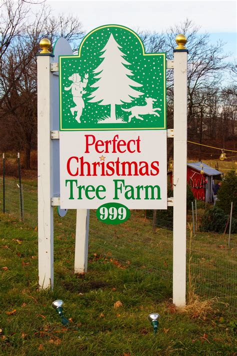 Directions to the Farm - Perfect Christmas Tree Farm