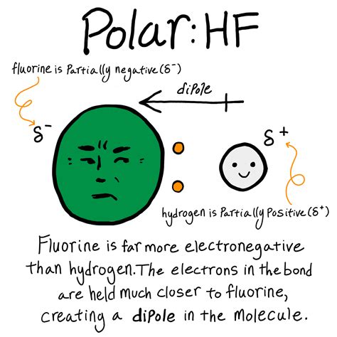 Polar vs. Nonpolar Bonds — Overview & Examples - Expii