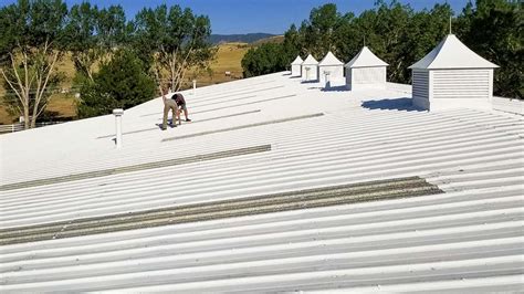 Translucent Roof Panel Replacement – Skylight Specialists, Inc