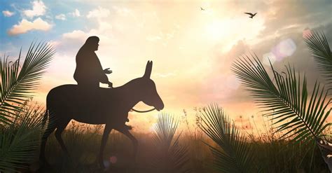 2021-03-06, 成為溫柔謙卑和平君王騎的驢駒 ~ Rogery 的禱告日記