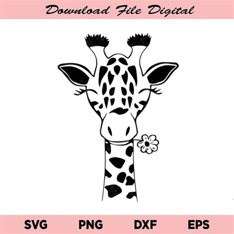 Giraffe Svg, Animal Svg, Giraffe Face Svg, Funny Giraffe Svg, Cute Giraffe Svg, Giraffe Folower ...