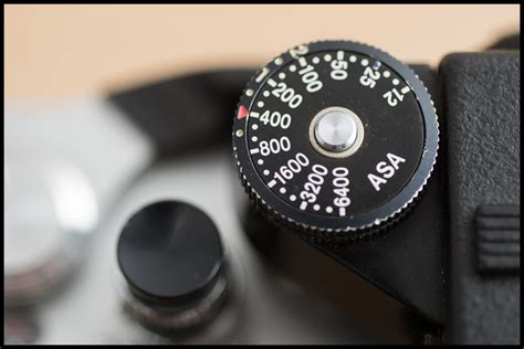 Nikon F2 Camera Review | Mean Bear Media