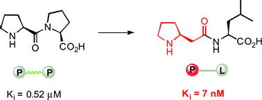 β-Amino acid-containing hybrid peptides—new opportunities in peptidomimetics - Organic ...