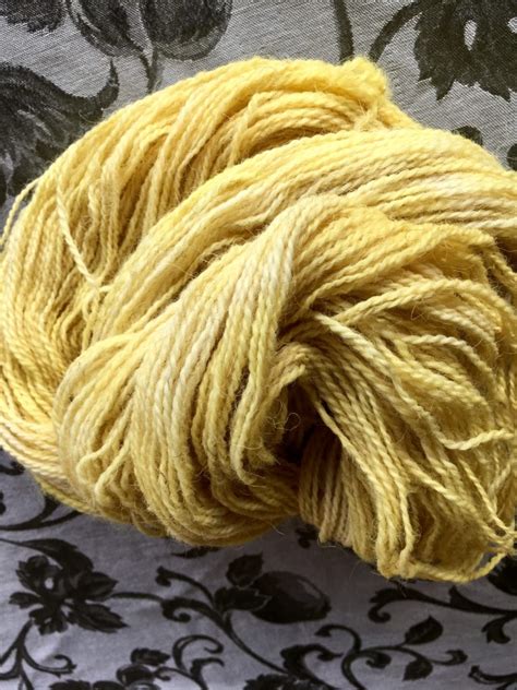 Dye Wool with Mullein a Herbaceous Biennial | gage hill crafts | Dye ...