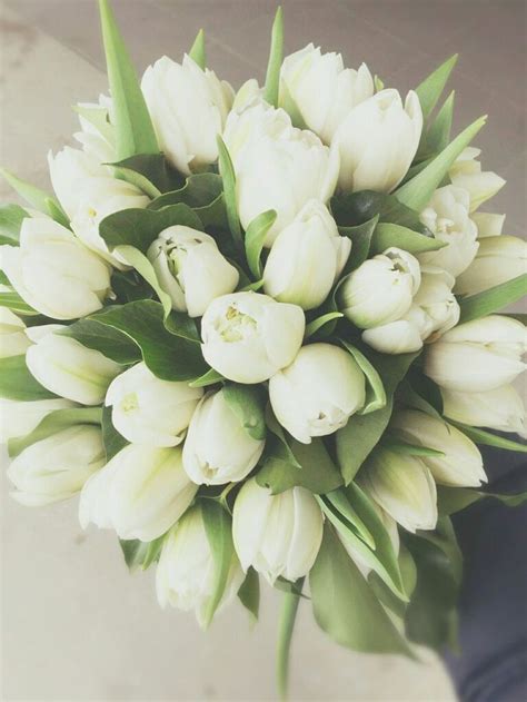 Tulip perfection! White tulip bridal bouquet. | Tulip wedding, Tulip bridal bouquet, White tulip ...