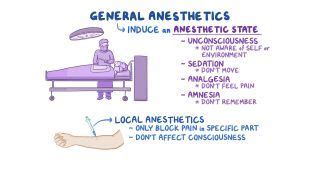 Trendelenburg Position: What Is It, Uses, and More | Osmosis