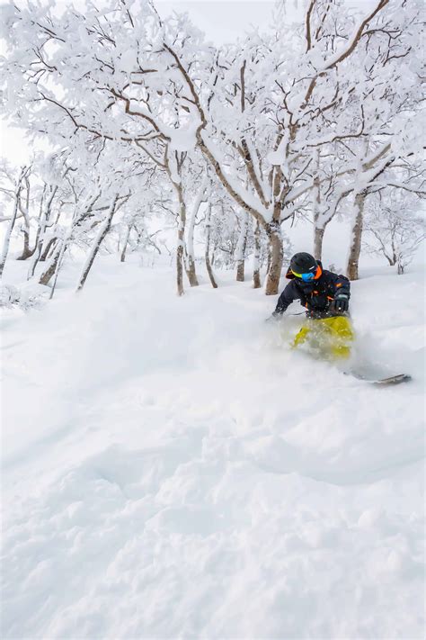 25 Important Things to Know About Niseko Ski Resort