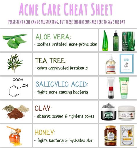 5 Power Ingredients For Acne-Prone Skin | Acne prone skin, Acne care, Skin care acne