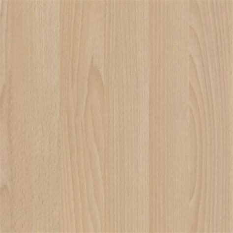 Beech light wood fine texture seamless 04357