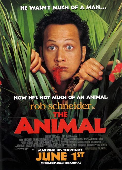 The Animal (2001) - MovieMeter.nl | Comedy movies, Movie posters, Rob schneider