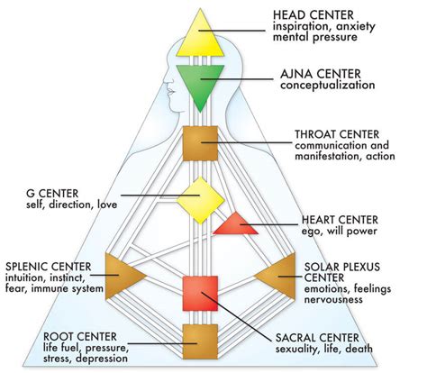 The Nine Centers