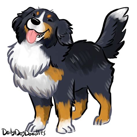 Bernese Mountain Dog Drawing | Free download on ClipArtMag