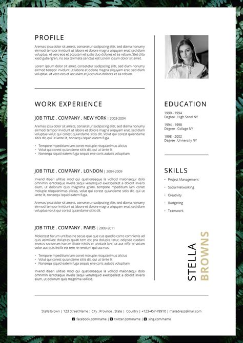 Nurse Fern Resume Template