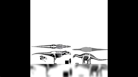 Tyrannotitan And Dicraeosaurus Size Comparison - YouTube