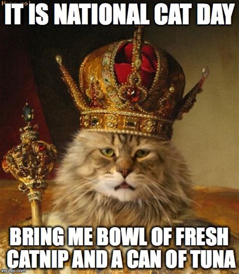 national cat day - Imgflip