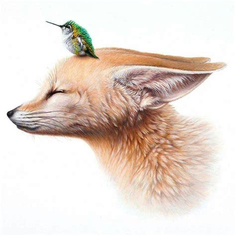 Animal illustration, Fox painting, Animal paintings