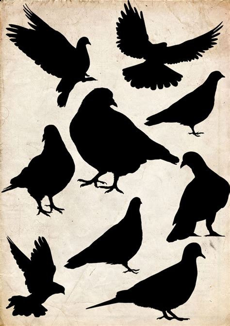 Dove Silhouette Clip Art 9 Png Clipart Instant Download - Etsy