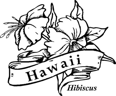 Hawaii Hibiscus coloring page - Download, Print or Color Online for Free