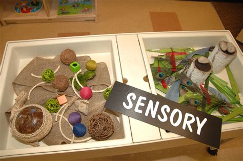 Students engage their senses at the sensory table in the toddler ...