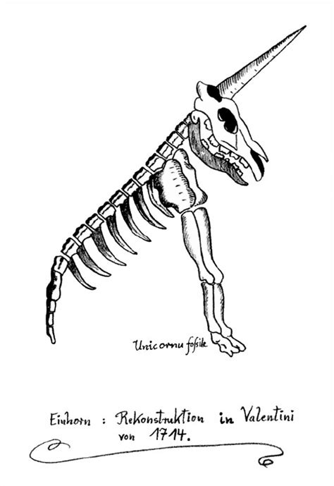 The Magdeburg Unicorn: The Worst Fossil Reconstruction Ever » Design You Trust — Design Daily ...